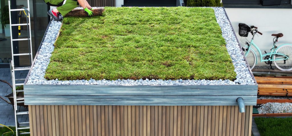 green-roofing
