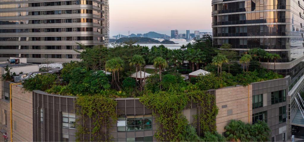 green-roofing-trends